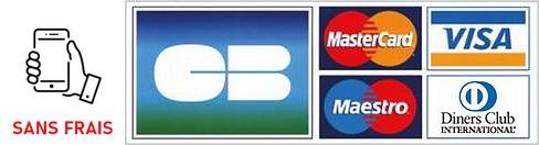 Logo cartes bancaires 3
